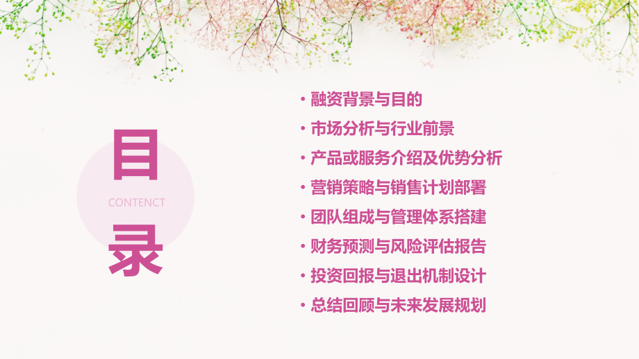 外文融资计划书.pptx_第2页