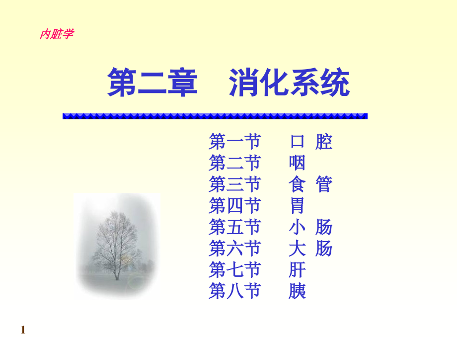 消化系统结构和功能.pptx_第1页