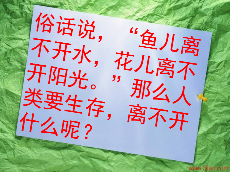 生物----呼吸系统的组成.ppt_第1页