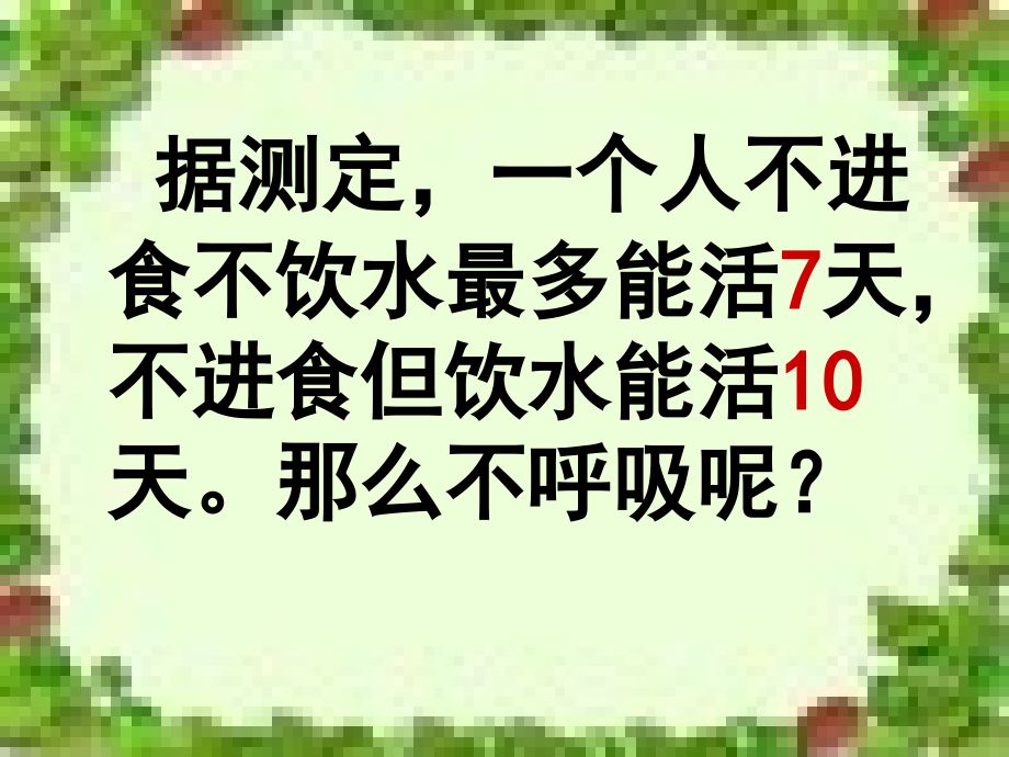 生物----呼吸系统的组成.ppt_第2页