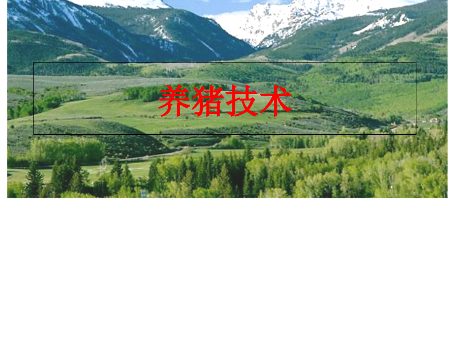 养猪技术课件.pptx_第1页