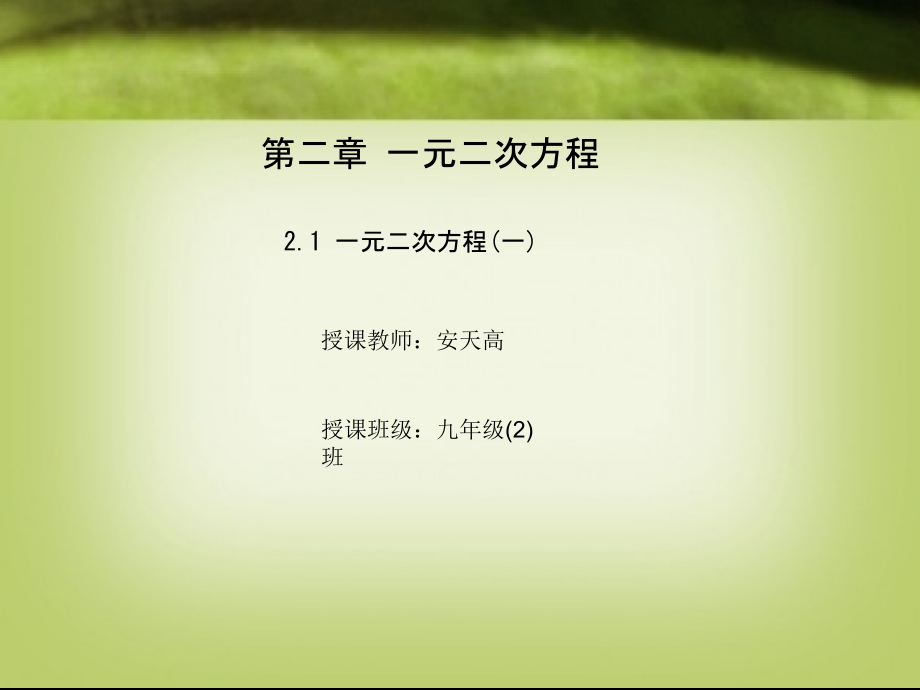 安天高(一元二次方程).ppt_第1页