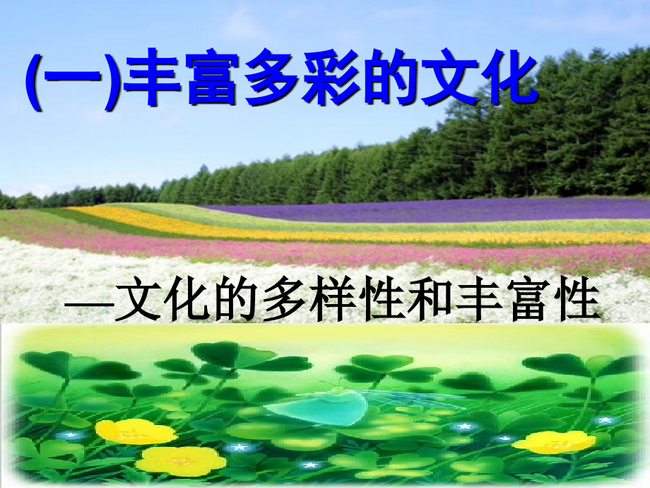 多元化的地球村.ppt_第2页
