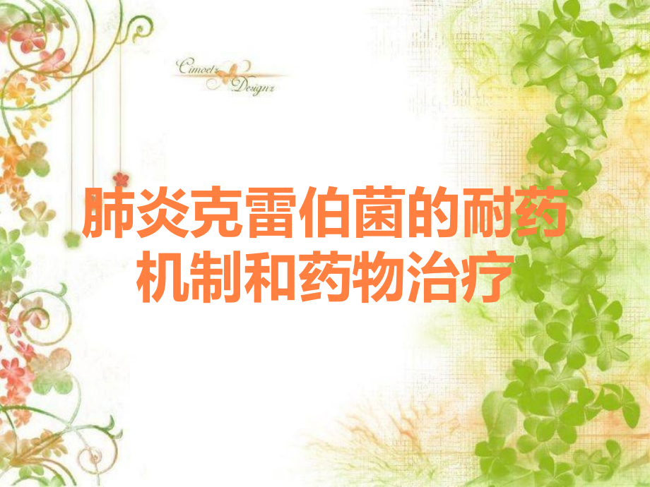 肺炎克雷伯菌的耐药机制和药物治疗.ppt_第1页