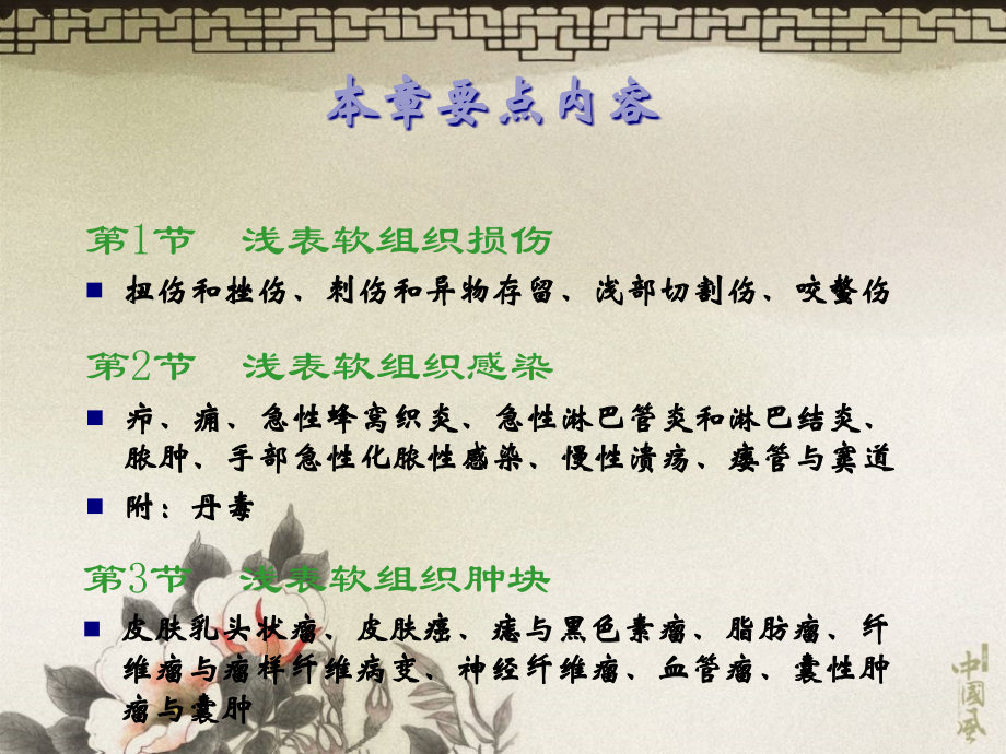 皮肤软组织外科疾病.pptx_第1页