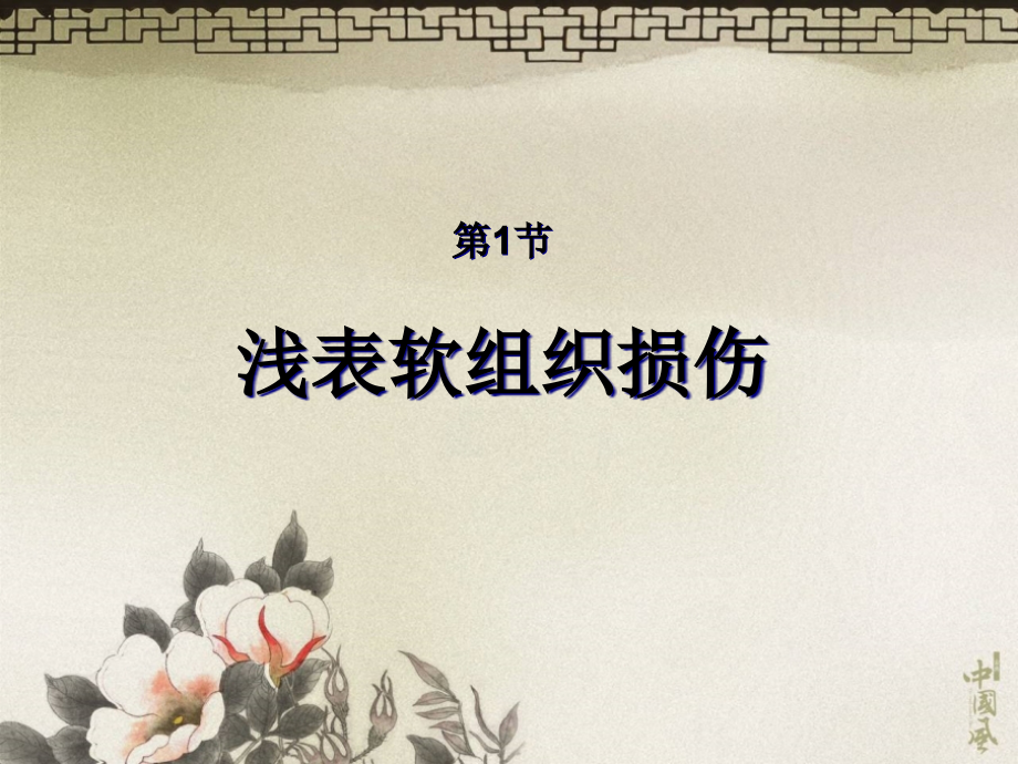 皮肤软组织外科疾病.pptx_第2页
