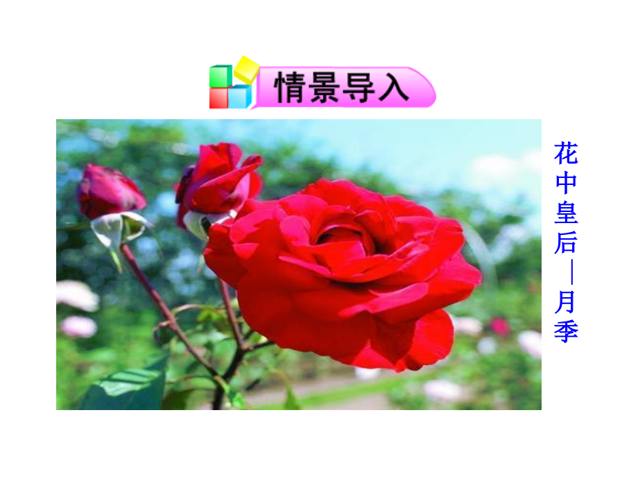 第五节植物的开花和结果.ppt_第2页