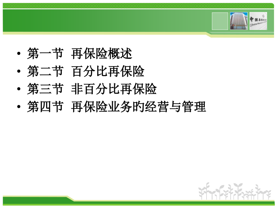 第九章再保险-修改.pptx_第2页