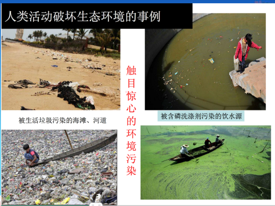 第一节-分析人类活动对生态环境的影响.ppt_第2页