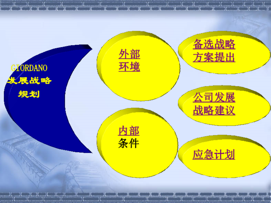 案例：左丹奴企业战略规划.ppt_第2页
