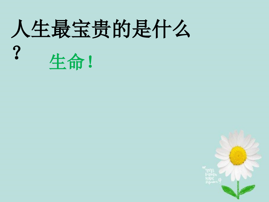 世界因生命而精彩.pptx_第1页