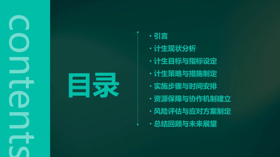 计生计划书.pptx_第2页