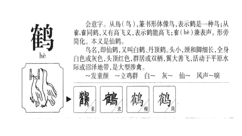 四下四单元第二课“鹤”字理.pptx_第1页
