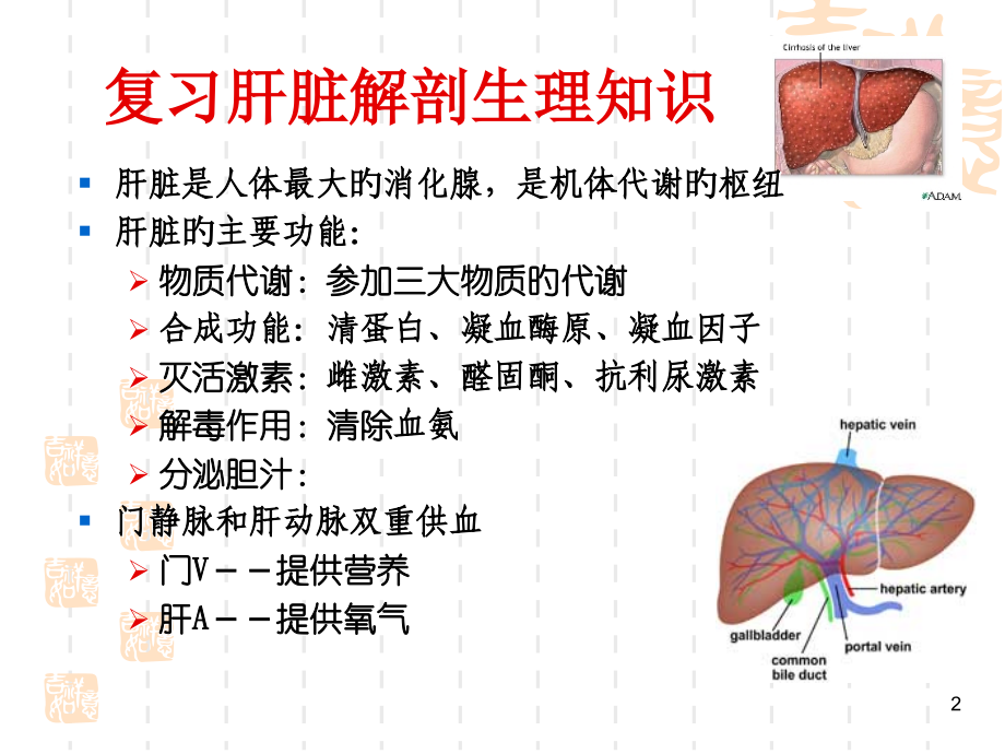 内科医疗护理学肝硬化病人的医疗护理.ppt_第2页