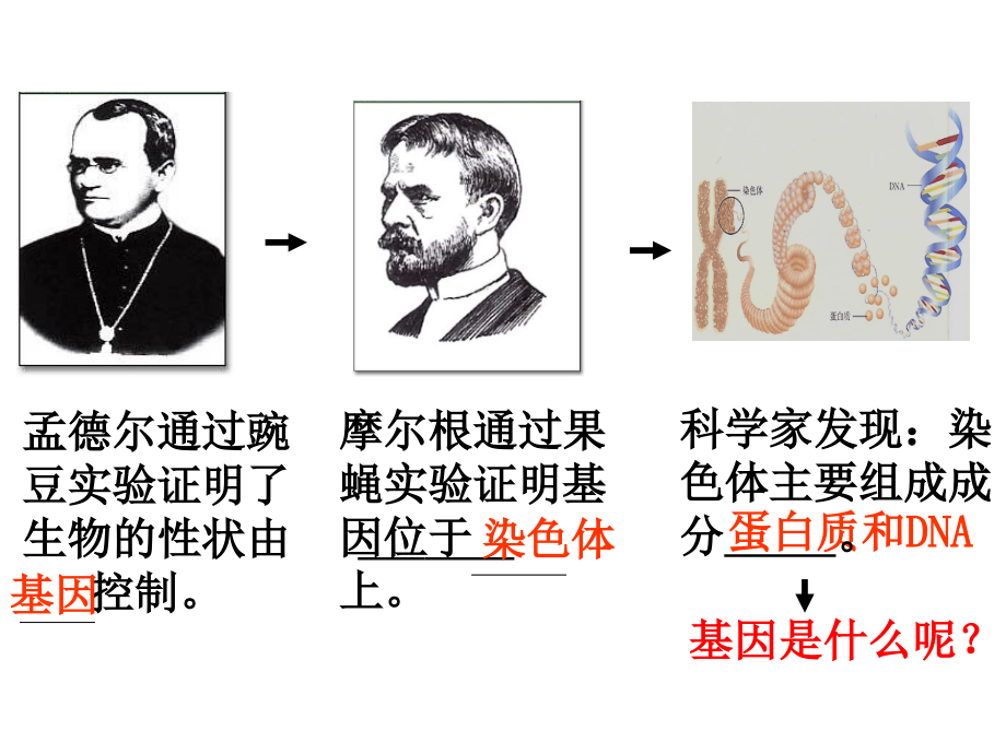 生物一轮复习课件：DNA是主要的遗传物质.ppt_第1页