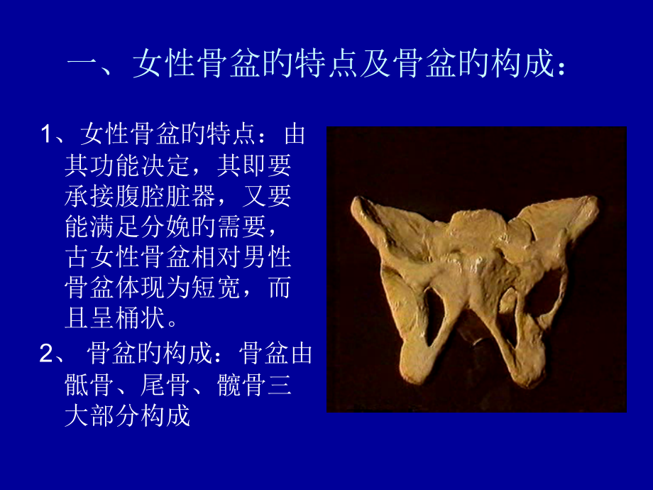 女性骨盆和测量.pptx_第2页
