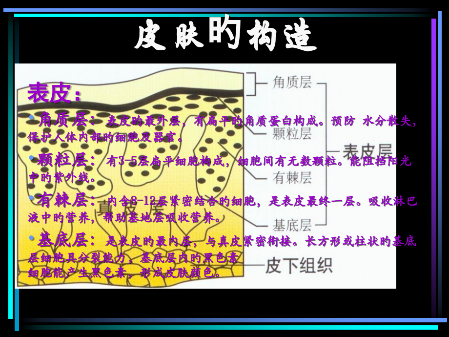 影响皮肤的因素.ppt_第2页