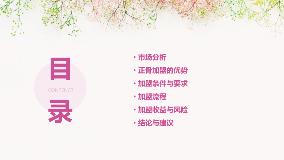 正骨加盟可行性方案.pptx_第2页