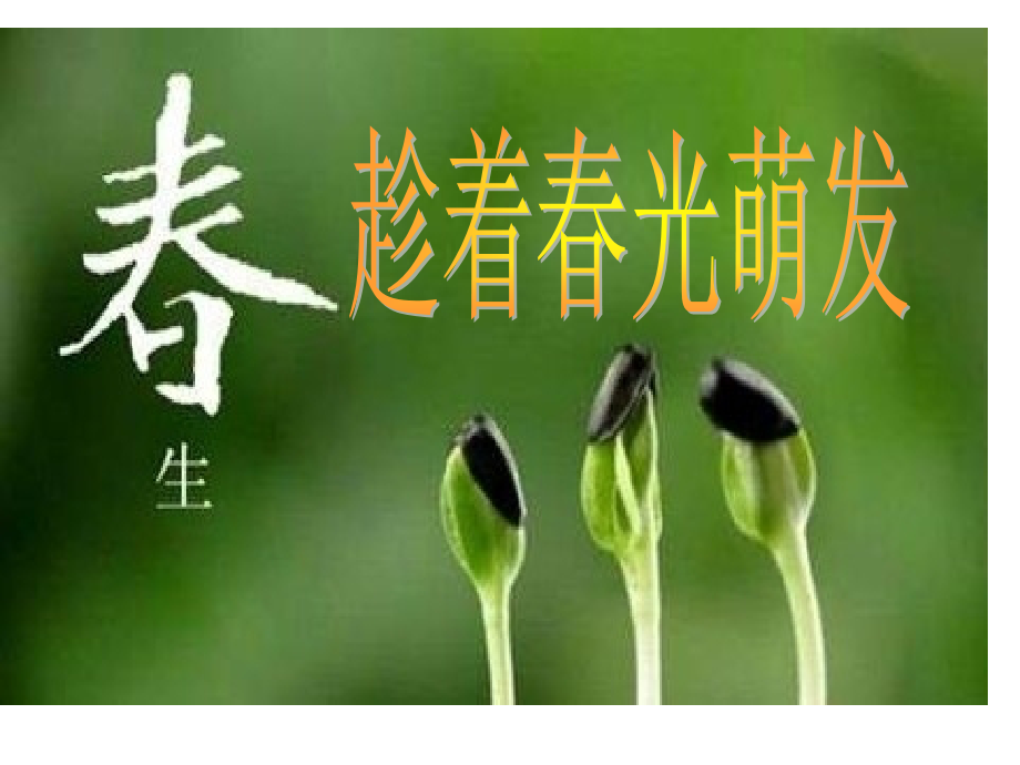 春季开学第.pptx_第1页