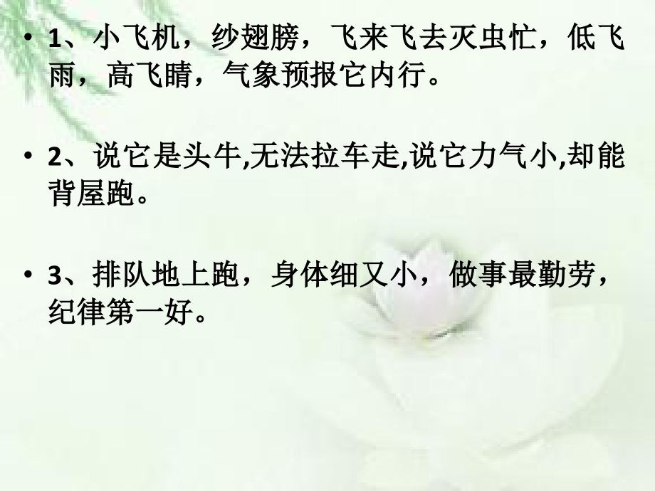 小动物过冬研讨课用.ppt_第1页