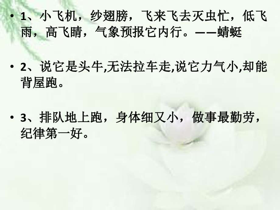 小动物过冬研讨课用.ppt_第2页