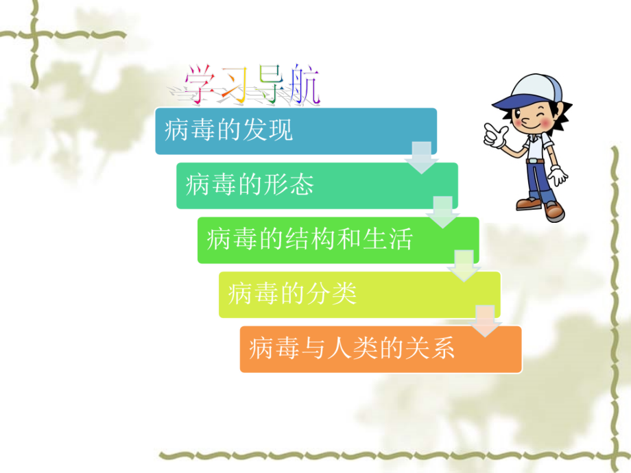没有细胞结构的微小生物病毒.pptx_第2页