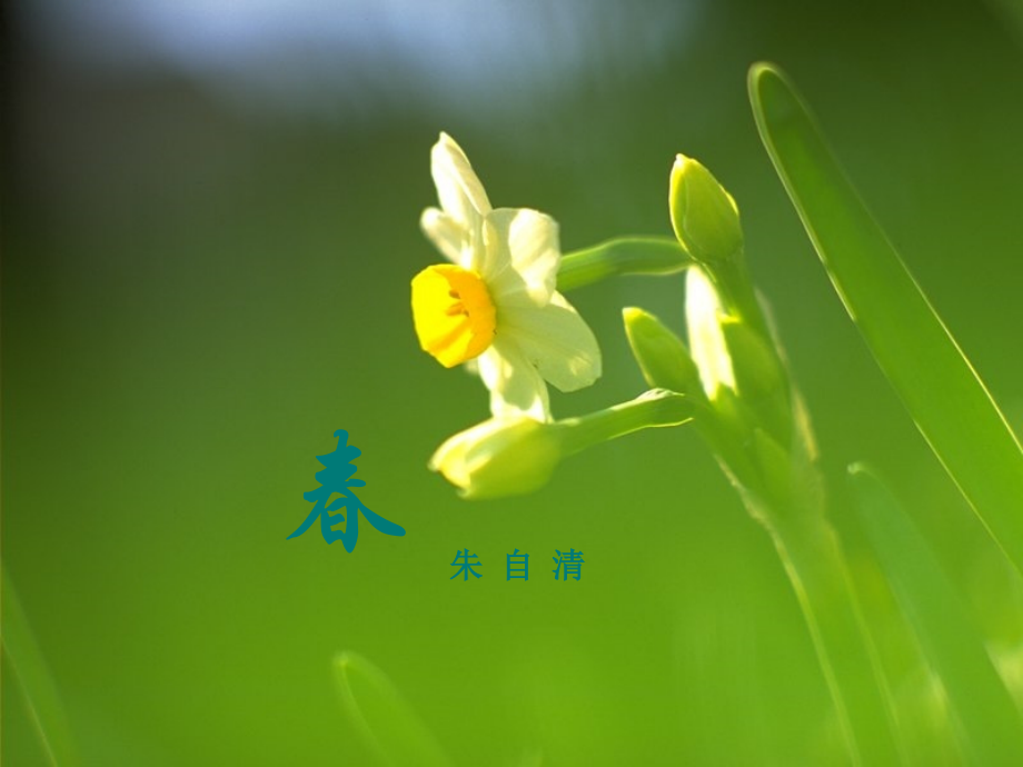 七年级语文上册《春》课件12苏教版.ppt_第1页