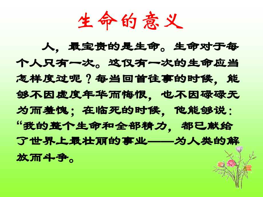 《保尔和冬妮娅》.ppt_第2页