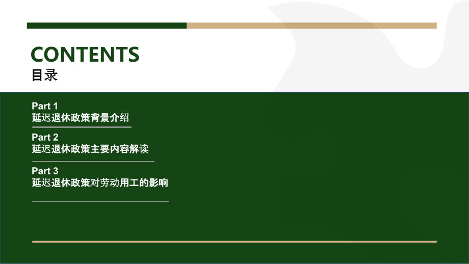 延迟退休政策的实施策略与操作经验分享.pptx_第2页