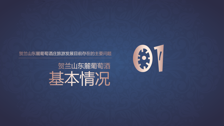 宁夏贺东酒庄VR全景制作推广方案.pptx_第2页
