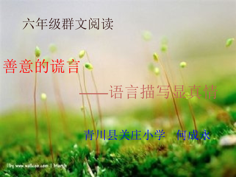 善意的谎言.ppt_第1页