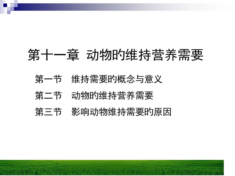 动物的维持营养需要.pptx_第1页