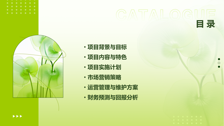 球幕影院项目计划书.pptx_第2页