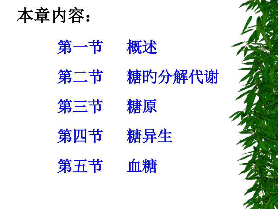 糖类代谢专业知识培训.ppt_第2页