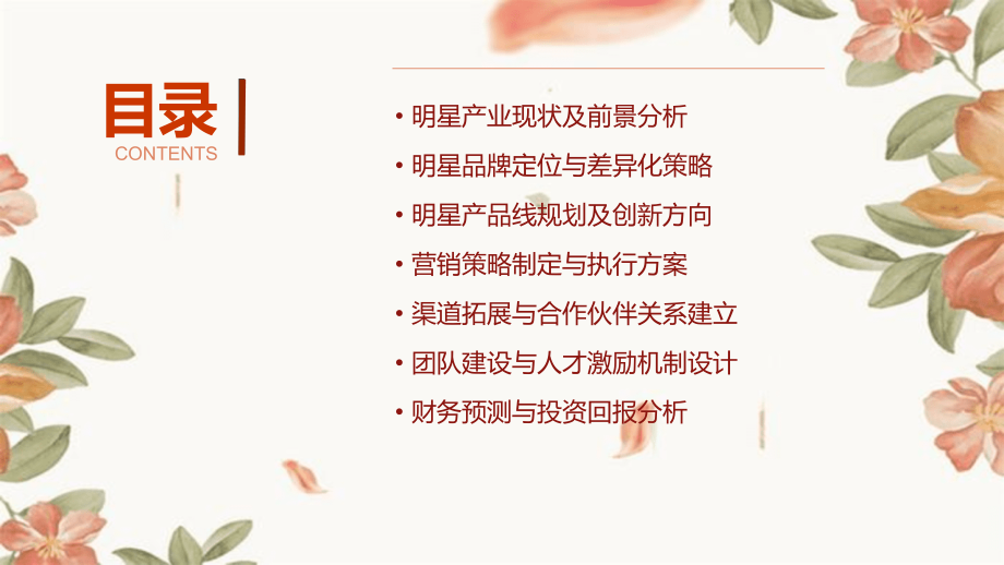 创业计划书关于明星.pptx_第2页