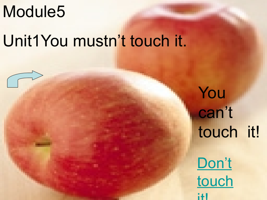 课件module5youmust'ntouchit.ppt_第1页
