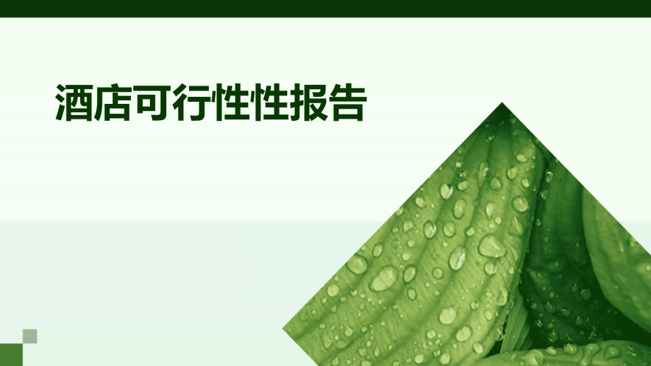 酒店可行性性报告.pptx_第1页