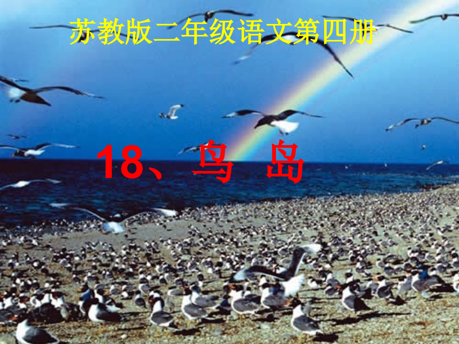第四册18、鸟岛课件.ppt_第1页