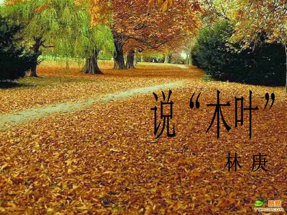 说木叶优质课.ppt_第2页