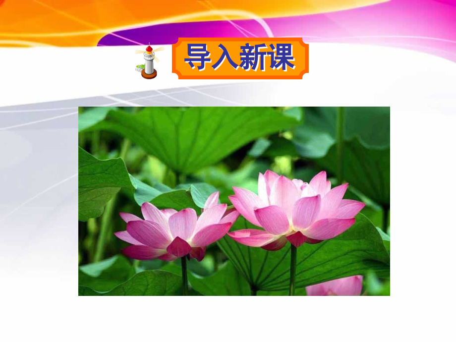 一年级下册语文——14荷叶圆圆.ppt_第1页