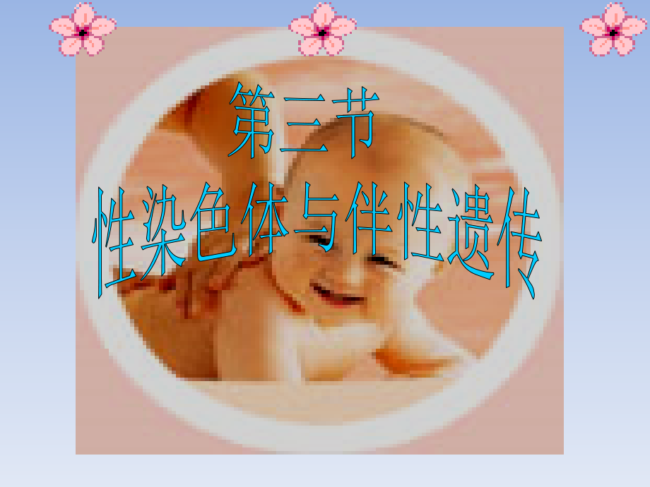 高中生物人教版必修2-23伴性遗传（课件）（共59张PPT）.ppt_第1页