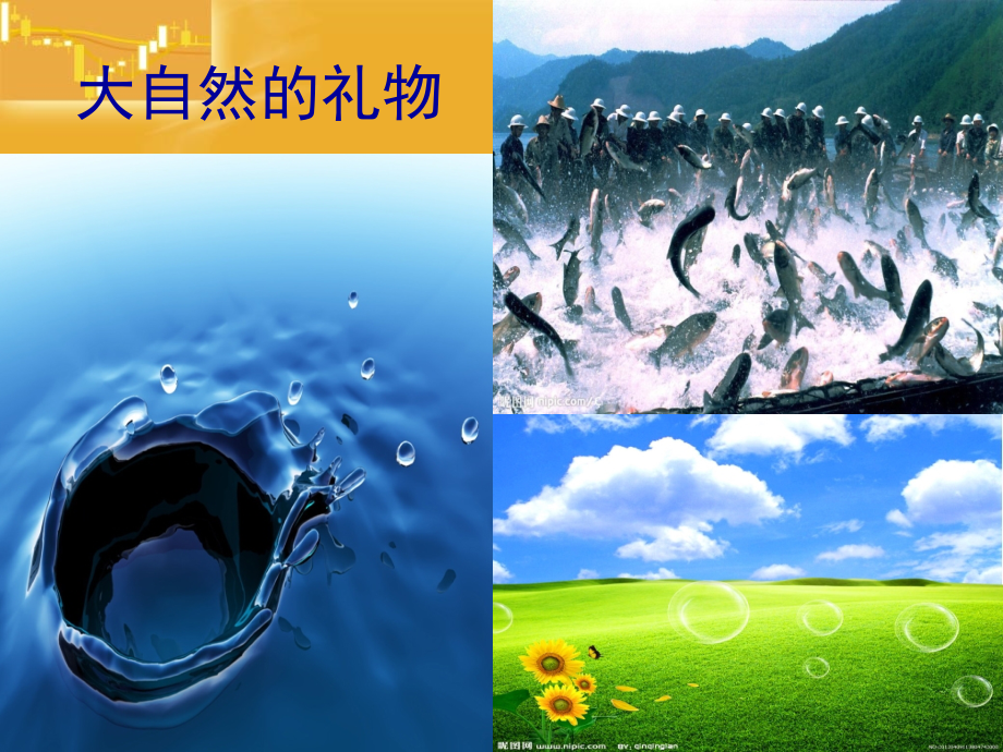 哭泣的大自然.ppt_第1页