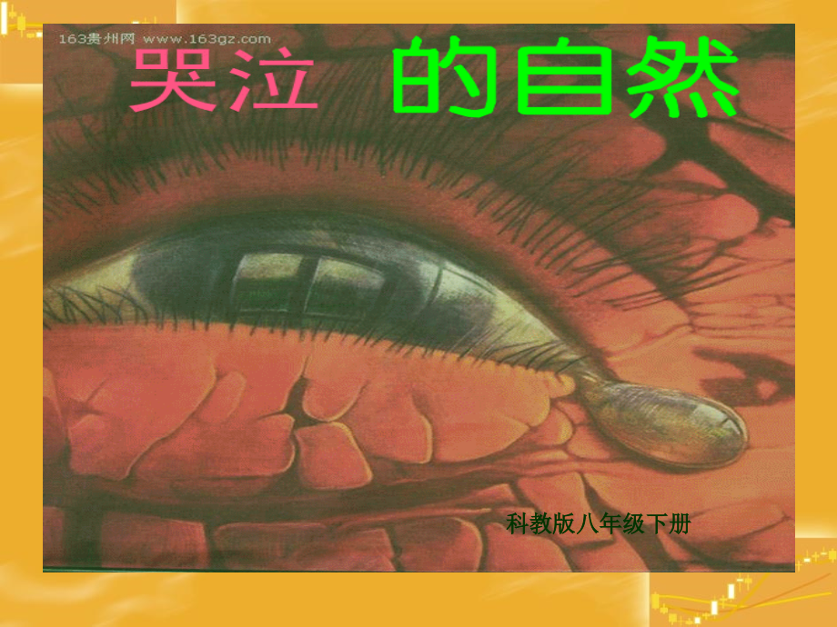 哭泣的大自然.ppt_第2页