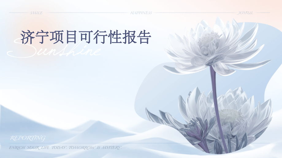 济宁项目可行性报告.pptx_第1页