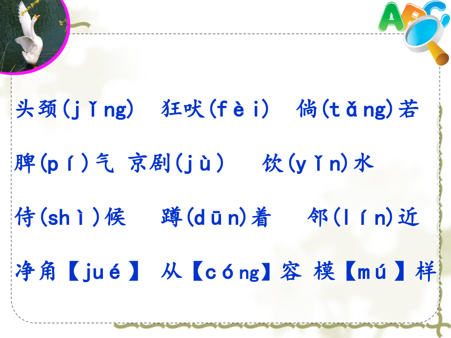 《白鹅》公开课.ppt_第1页