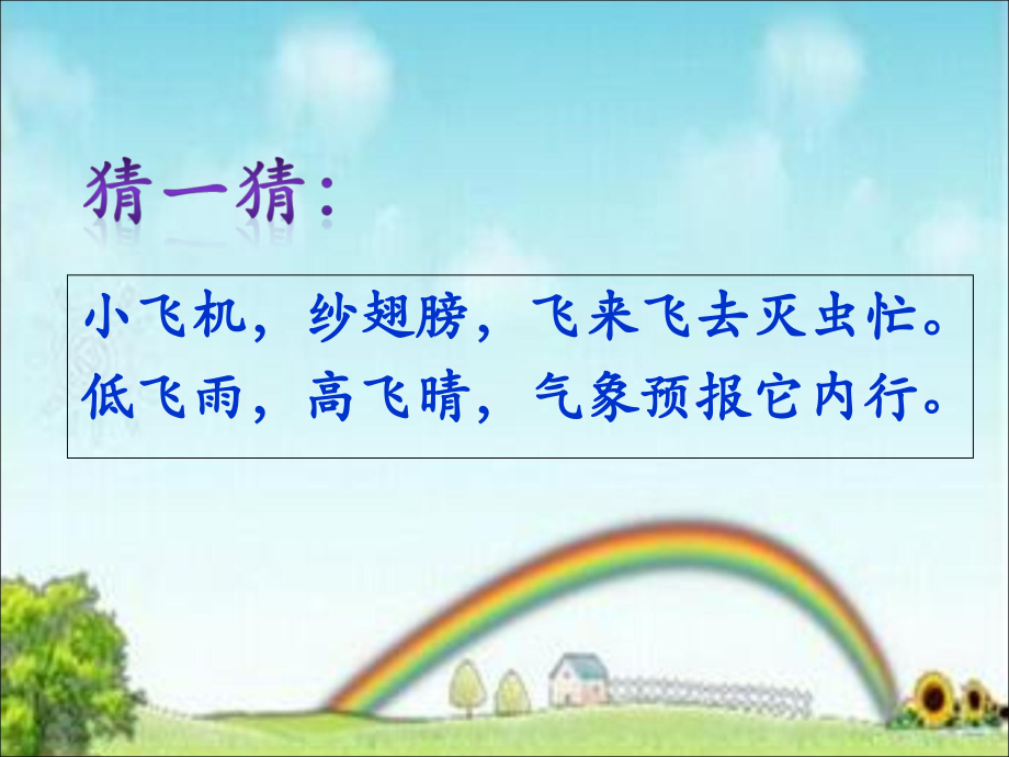 第九课：蜻蜓飞飞.ppt_第1页