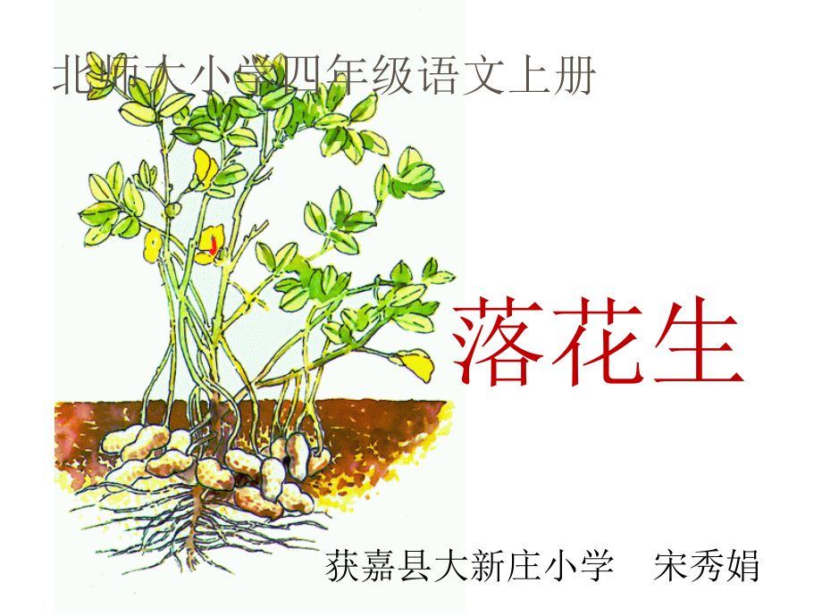 小学四年级上学期语文《落花生》.ppt_第1页