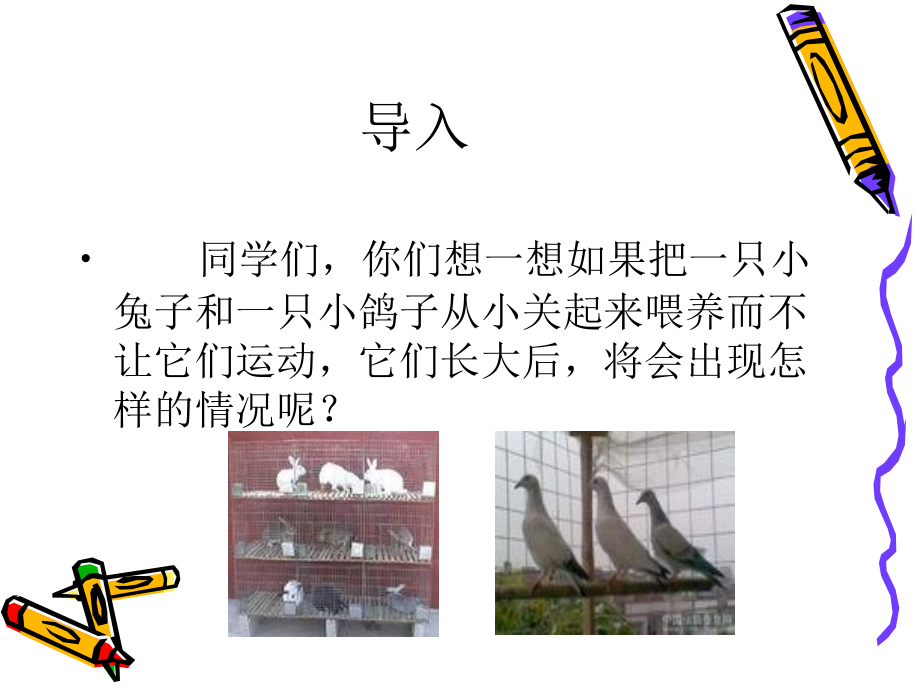 体育健康课课.ppt_第2页