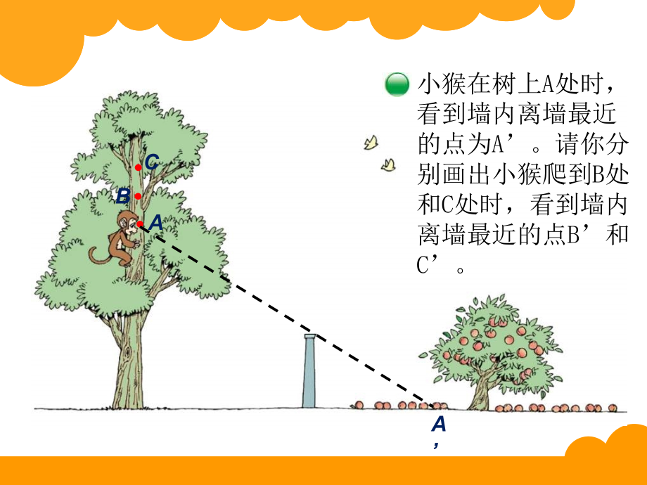 观察的范围 (3).ppt_第2页