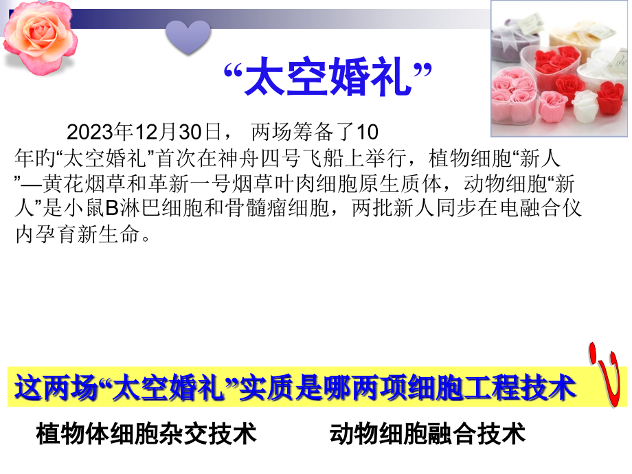 动物细胞融合和单克隆抗体的制备.pptx_第1页